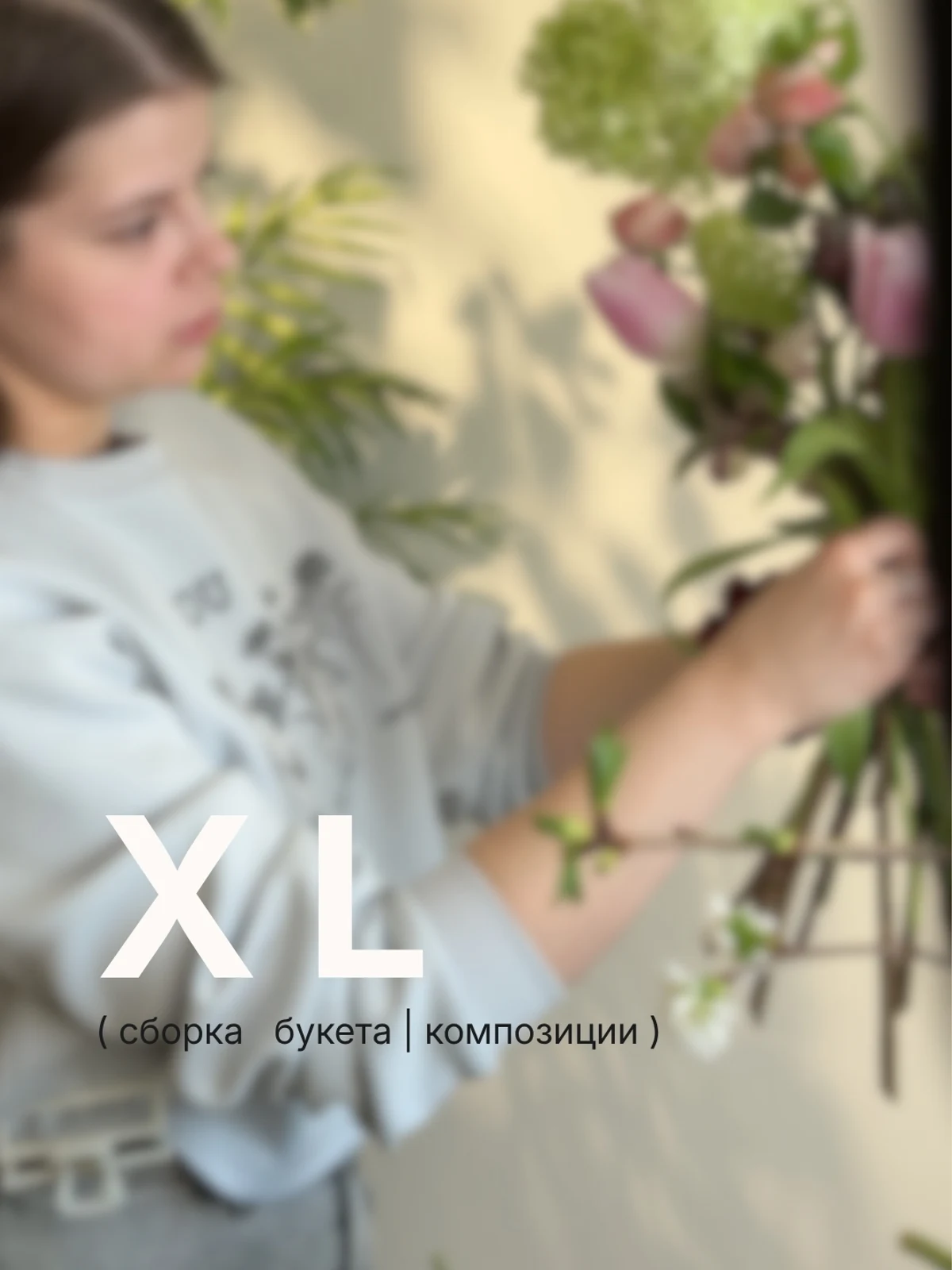 Основное изображение товара